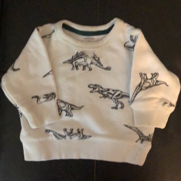 Carter's Other - Carter's Dinosaur Sweatshirt - Sz 3M Carter's Other - Carter's Dinosaur Sweatshirt - Sz 3M